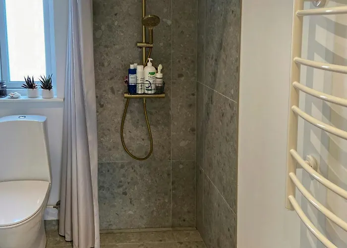 House In Torreso For Family Gatherings